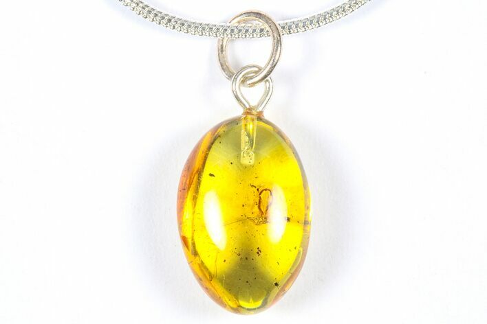 Polished Baltic Amber Pendant (Necklace) - Contains Fly! #368993